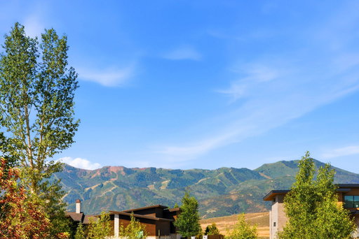 Media Image 3