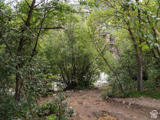 Media Image 3