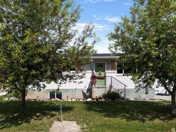 Media Image 1