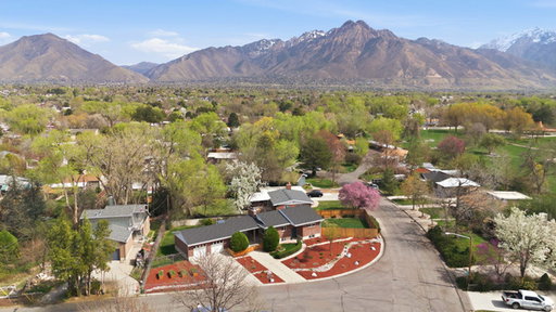 Media Image 3