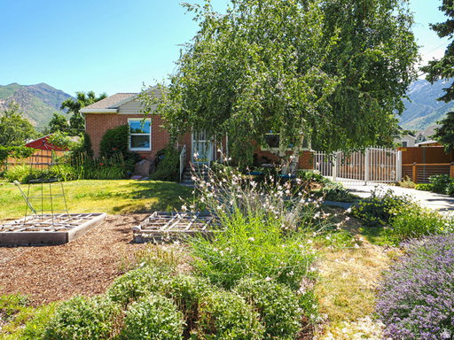 Media Image 3