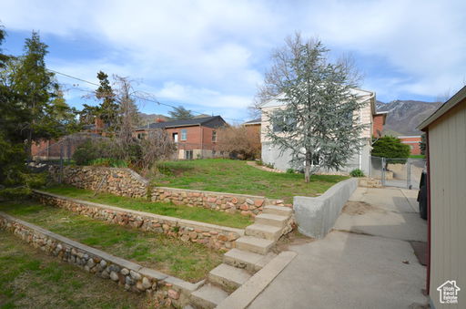 Media Image 3