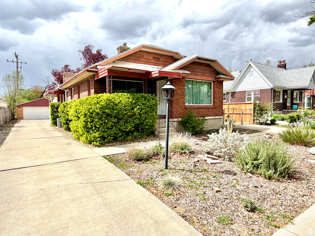 Media Image 1