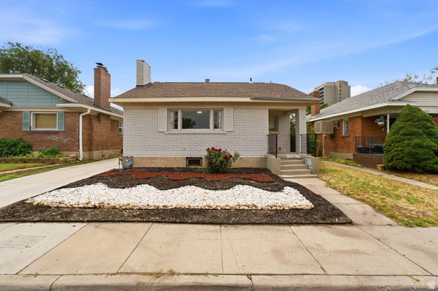 Media Image 1