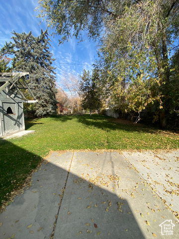 Media Image 3