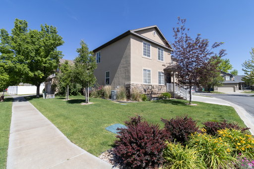 Media Image 2