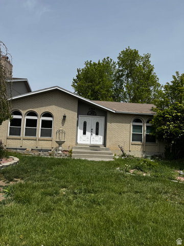 Media Image 1