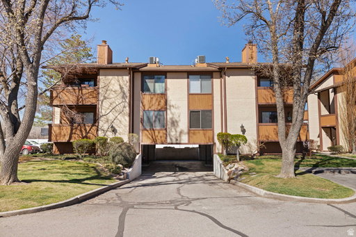 Media Image 2