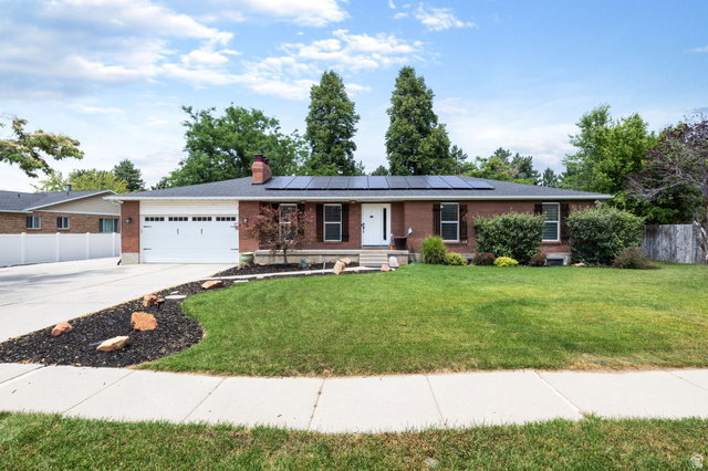 Media Image 1