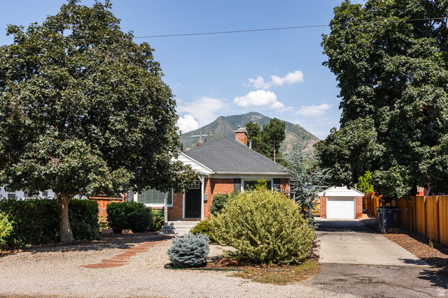 Media Image 1