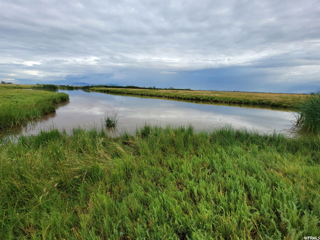 Media Image 1