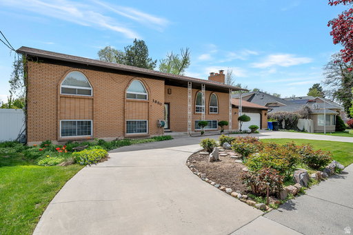 Media Image 3