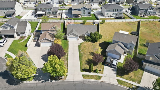 Media Image 3