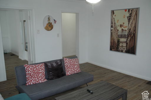Media Image 3