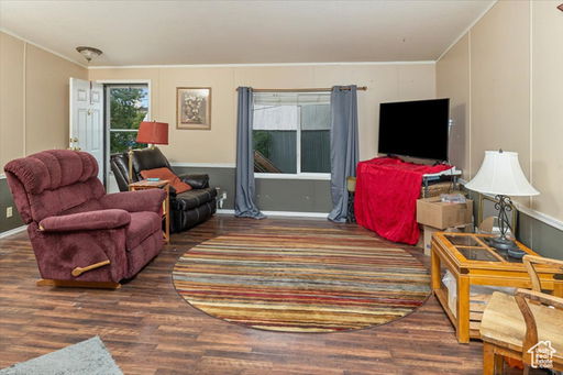 Media Image 3