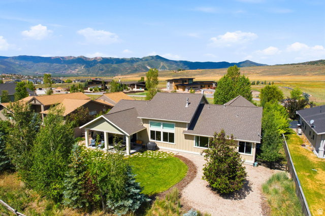 Media Image 1