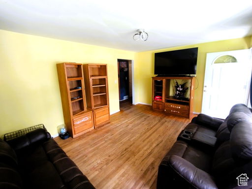 Media Image 3
