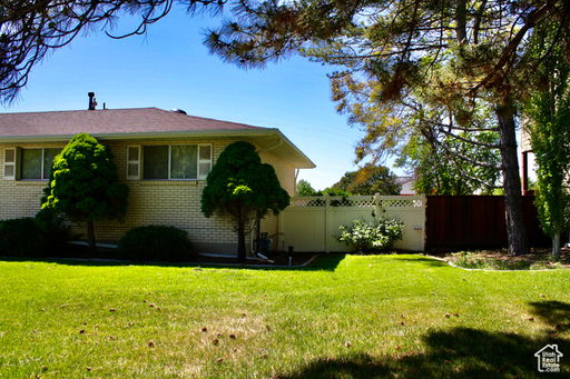 Media Image 2