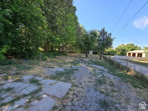 Media Image 3