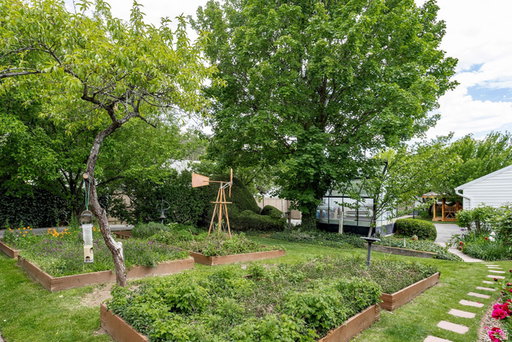 Media Image 2