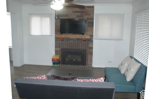 Media Image 2