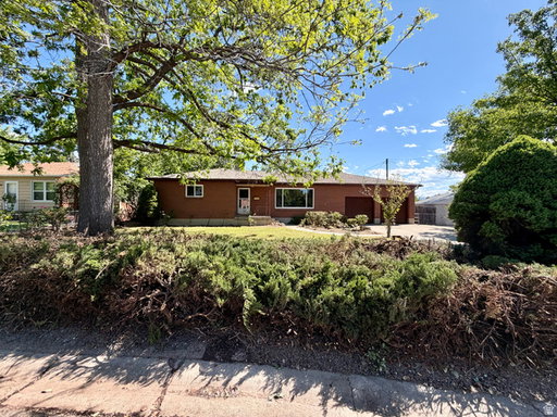 Media Image 2