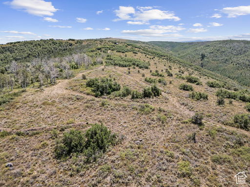 Media Image 3
