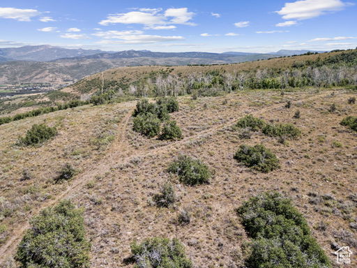 Media Image 2