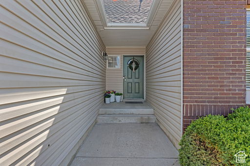 Media Image 3