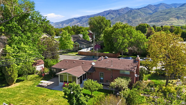 Media Image 1