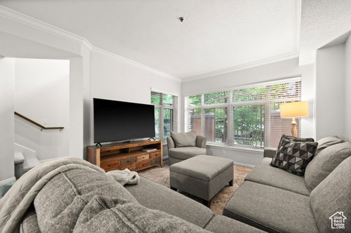 Media Image 3