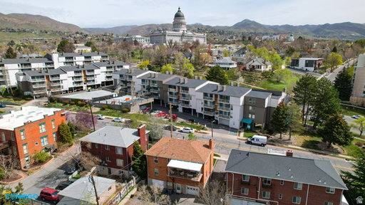Media Image 3