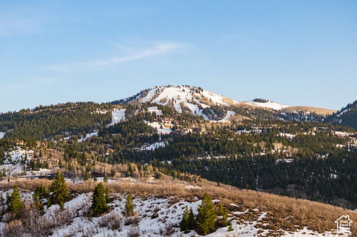 Media Image 3