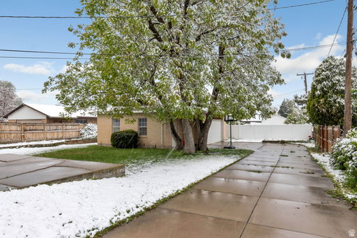 Media Image 3