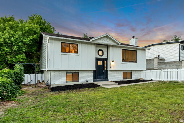 Media Image 1