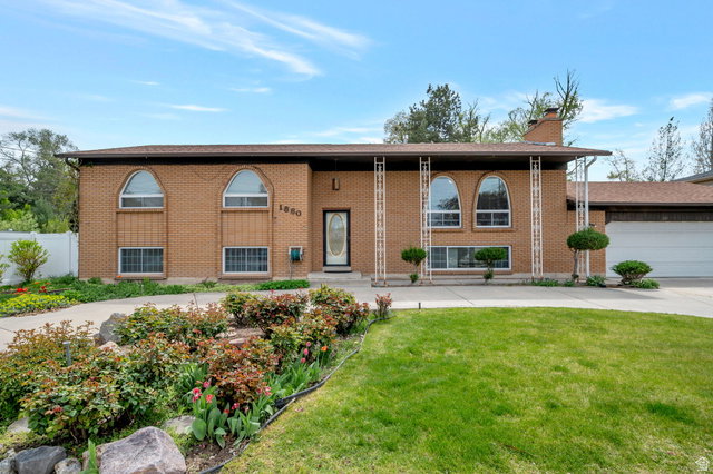 Media Image 1