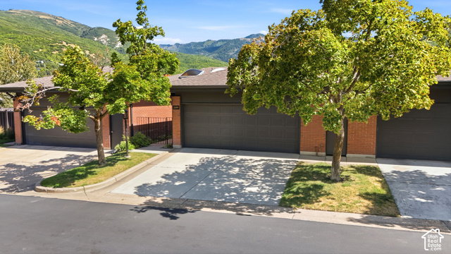 Media Image 1
