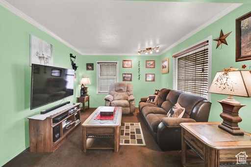 Media Image 3