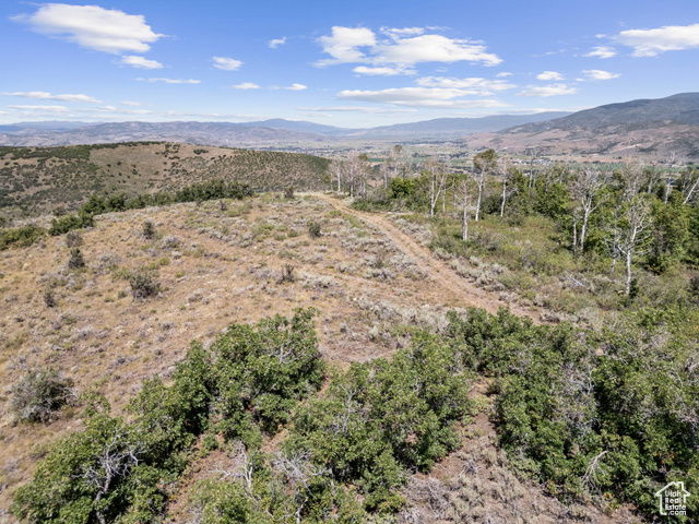 Media Image 1