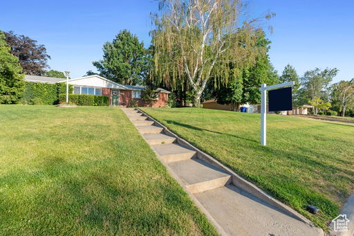 Media Image 2