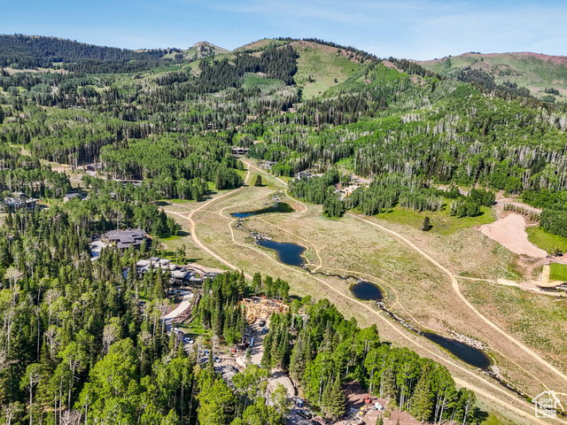 Media Image 1