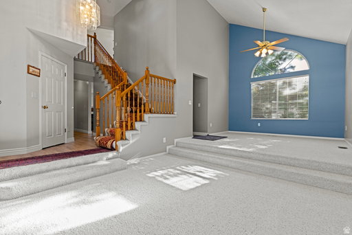 Media Image 3