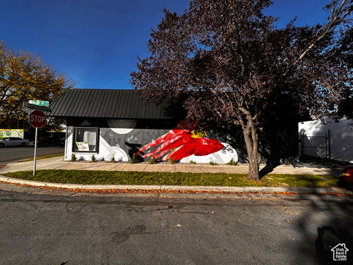 Media Image 3