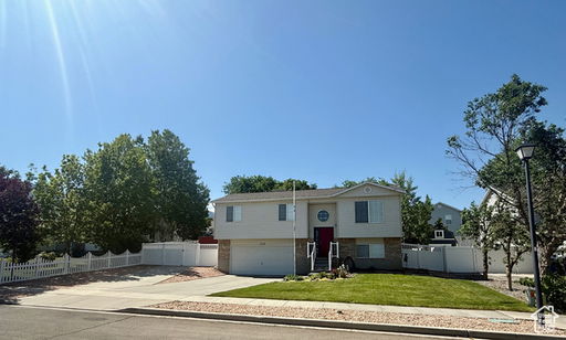 Media Image 3