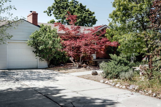 Media Image 2