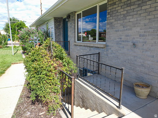 Media Image 3