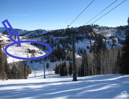 Media Image 3