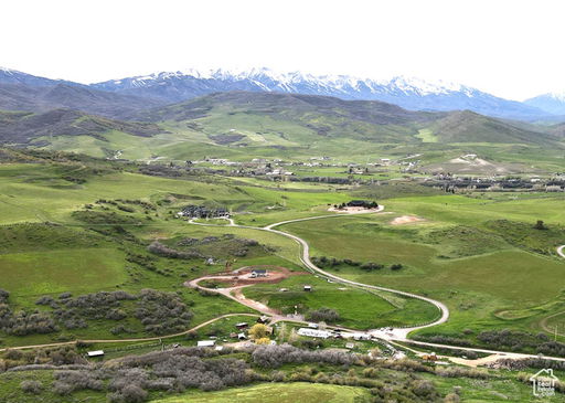 Media Image 3