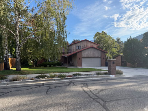 Media Image 2