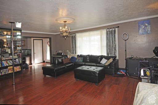 Media Image 3